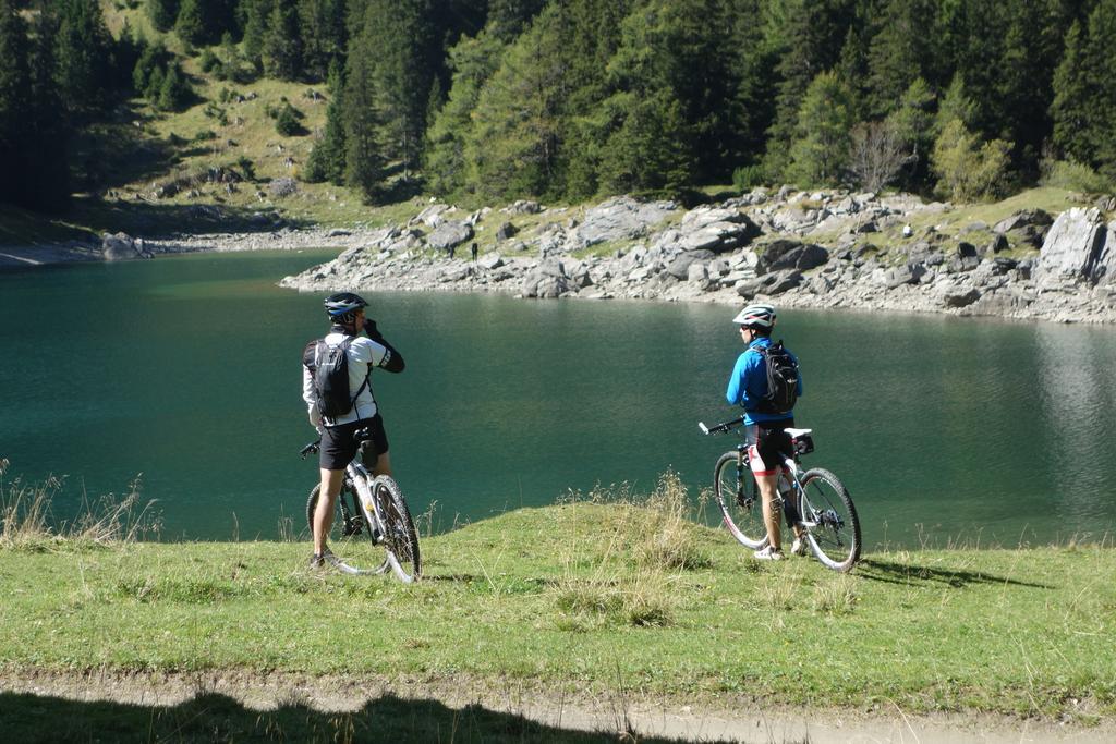 Alpen Gasthof Apartments Hohe Burg Trins Bagian luar foto
